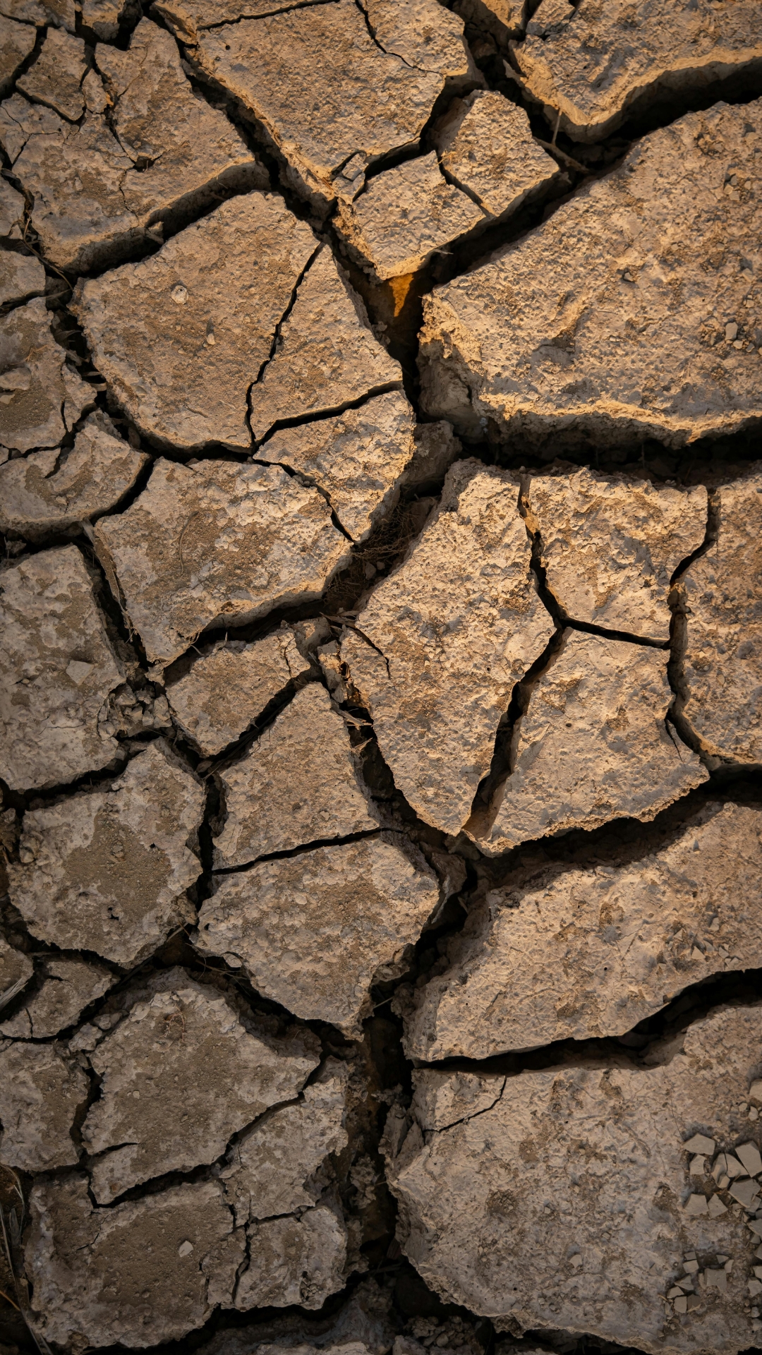 Experiencia Dr. Oscar Gaona